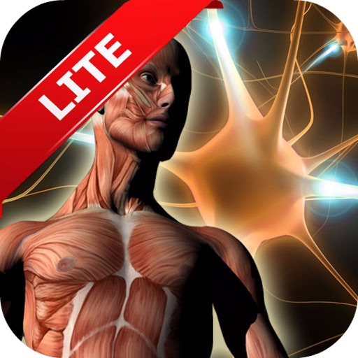 Human Anatomy Atlas (HD image) iOS App