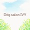相模原のトリミングサロン「Dog　salon IVY」