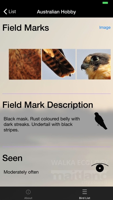 Walka Birds screenshot 4