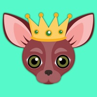 Animated Red Chihuahua