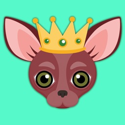 Animated Red Chihuahua
