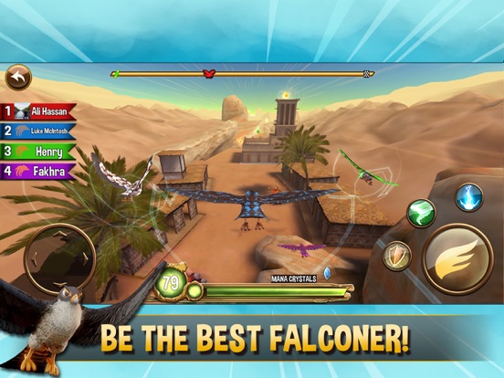 Falcon Valley Multiplayer Race для iPad