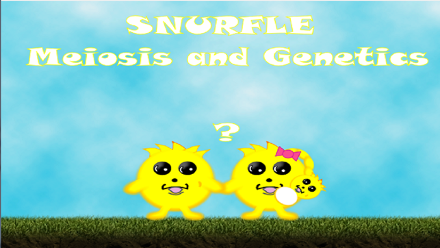 Snurfle Meiosis