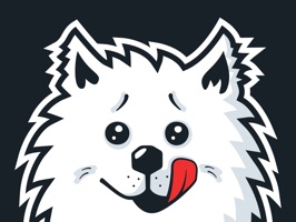 – Samoyed dog;