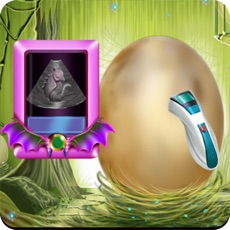 Activities of Fairy Dragon Egg