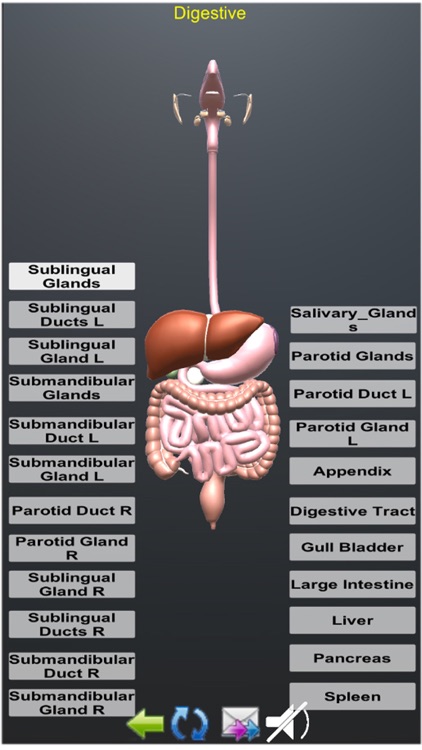 Human Anatomy Encyclopedia 3D screenshot-8