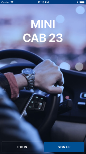 Cab 23 Driver