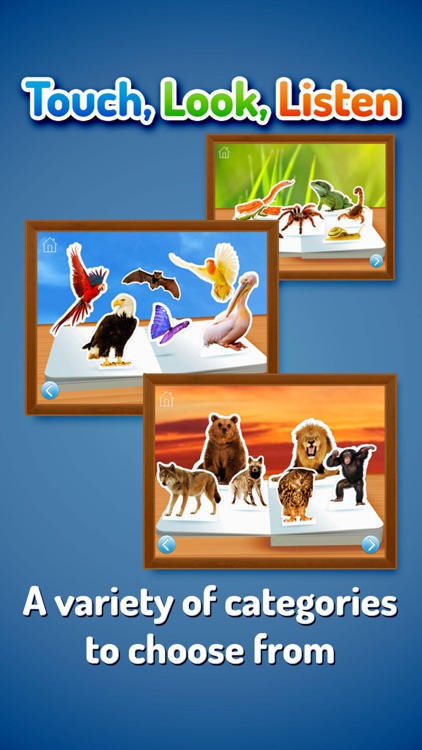 Zoo Animals ~ Touch, Look, Listen screenshot-3