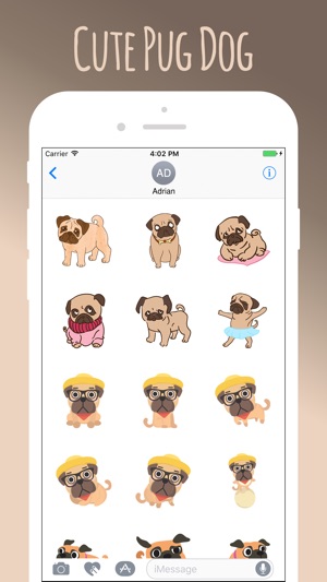 Pug Cute Sweetheart(圖4)-速報App