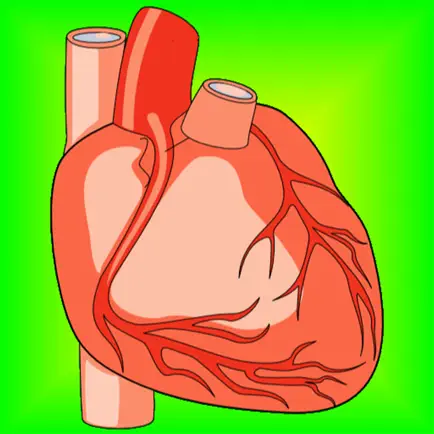 Heart Health: Heart Healthy Living Facts & Tips Cheats