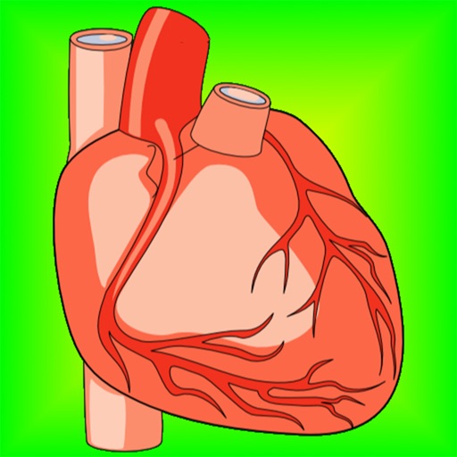 Heart Health: Heart Healthy Living Facts & Tips Icon