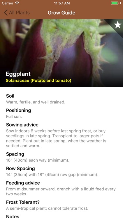 When To Plant