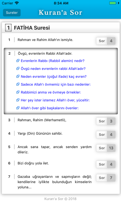 Kuran'a Sor screenshot 2