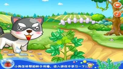熊猫博士植物种子花园 screenshot 2