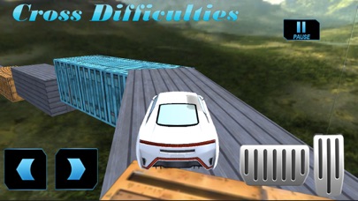 Impossible Car Drive Sim Toon screenshot 2