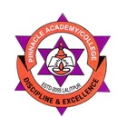 Pinnacle Academy