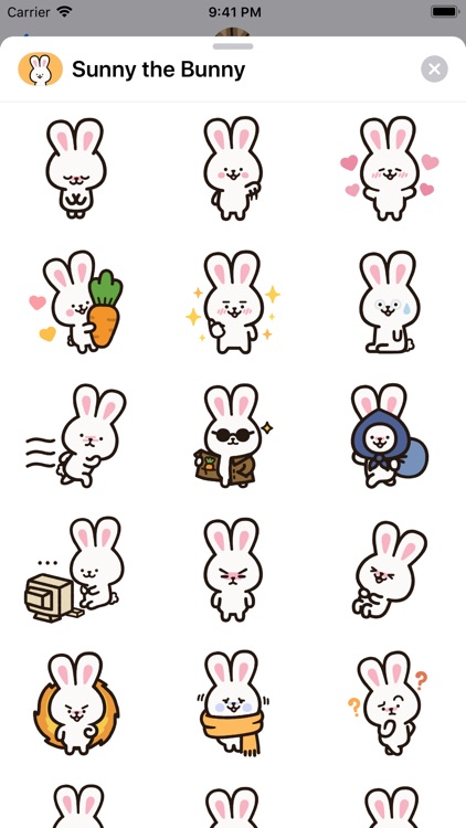 Sunny the Bunny