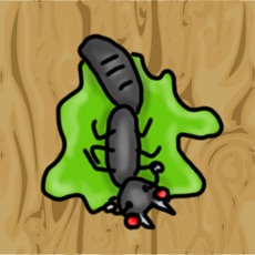 Activities of Ant Squash