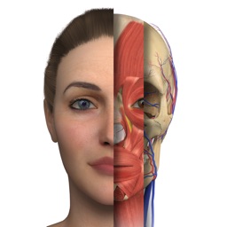 APPLICATION D’ANATOMIE FACIALE