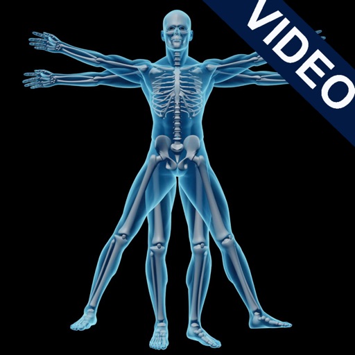 Animated Physiology & Anatomy icon