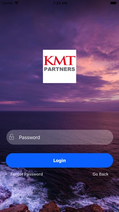 KMT Partners Advisory screenshot 2