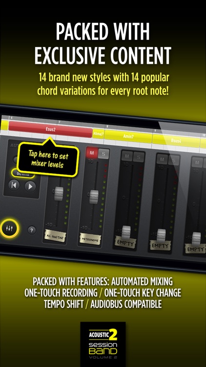 SessionBand Acoustic Guitar 2 screenshot-4