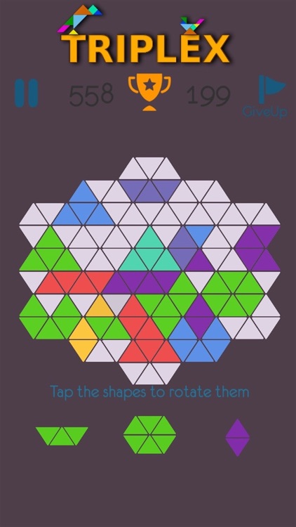 TRIPLEX by Lisa Burns