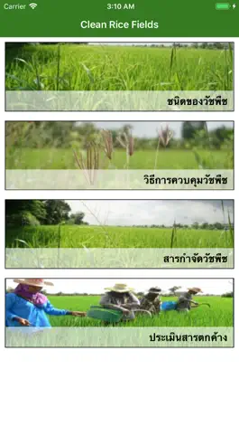 Game screenshot Clean Rice Fields mod apk