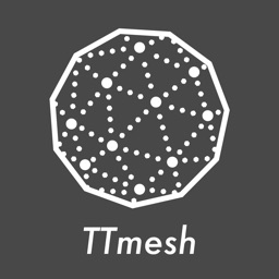 TTmesh