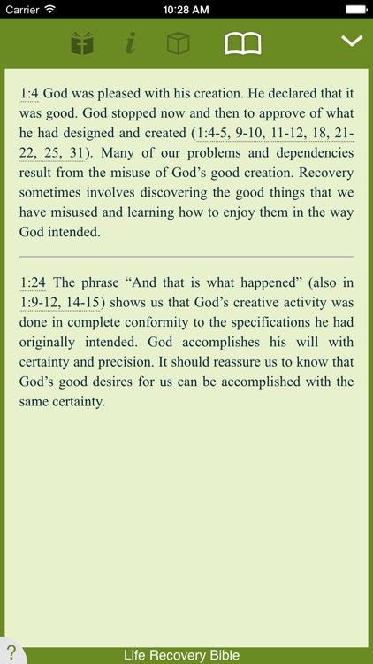 Life Recovery Bible screenshot-3