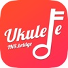 INSbridge - Ukulele teacher