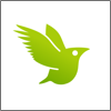 no app image