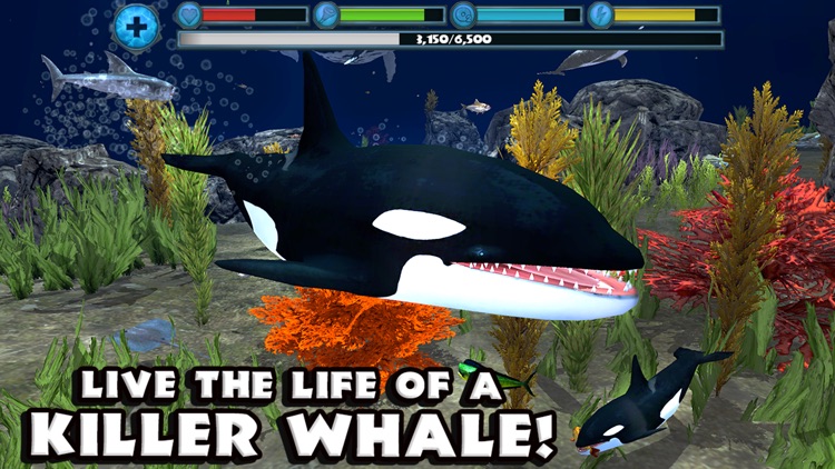 Orca Simulator screenshot-0