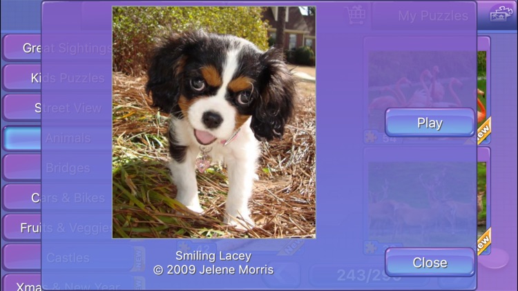 Everyday Jigsaw™ screenshot-4
