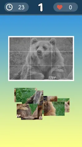 Game screenshot World Animal - Puzzle & Jigsaw hack