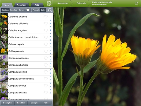 Screenshot #4 pour Fleurs en poche HD
