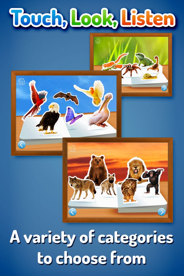 Zoo Animals ~ Touch, Look, Listen screenshot 3