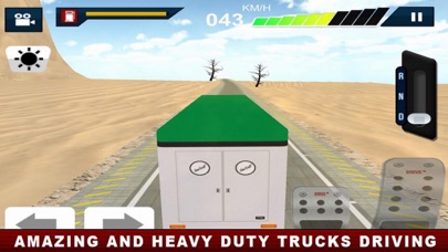Driving Truck US Deset Way screenshot 2