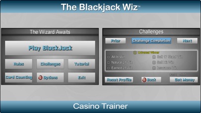 The Blackjack Wiz screenshot 4