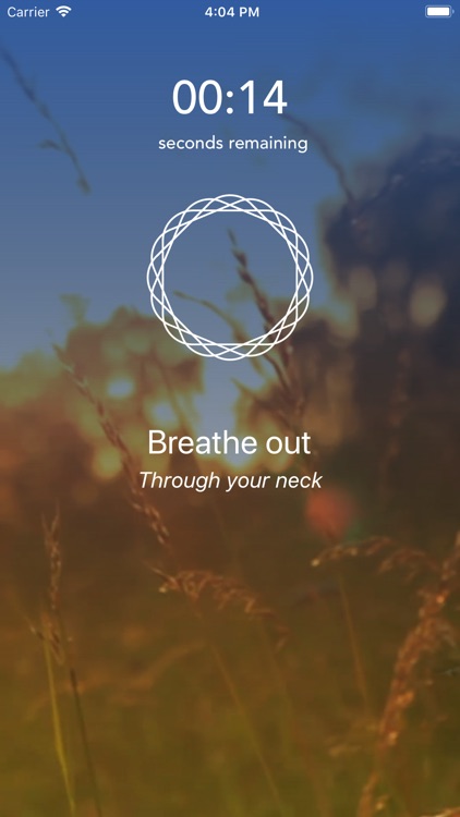 Mindfulness Daily