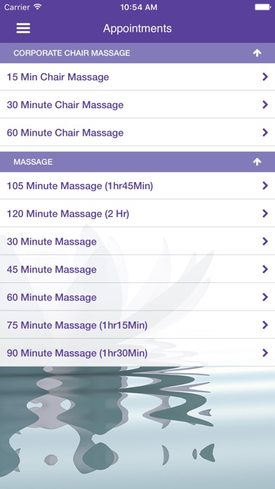 Life-Source Massage Therapy screenshot 3