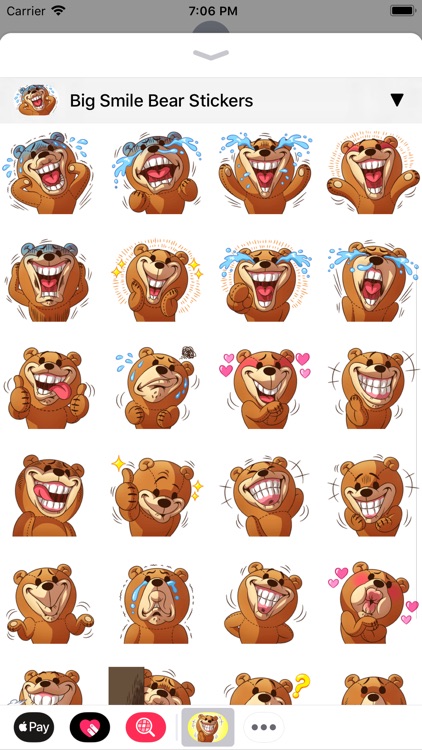 Bear •