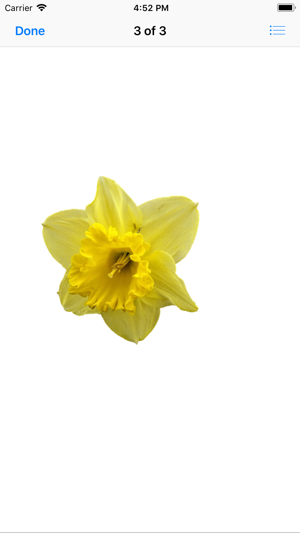 Daffodil Sticker Pack(圖4)-速報App