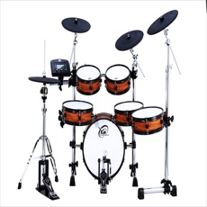 Activities of Drum@