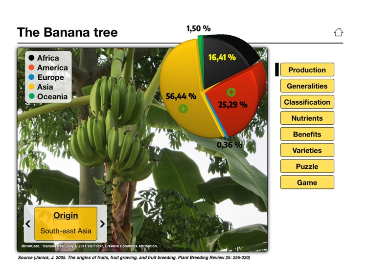 The Banana