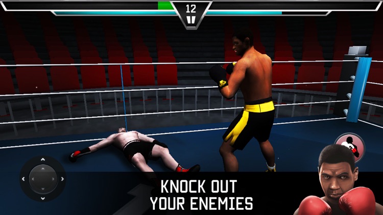 King Of Boxing Games screenshot-4