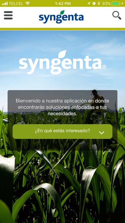 Syngenta Chile