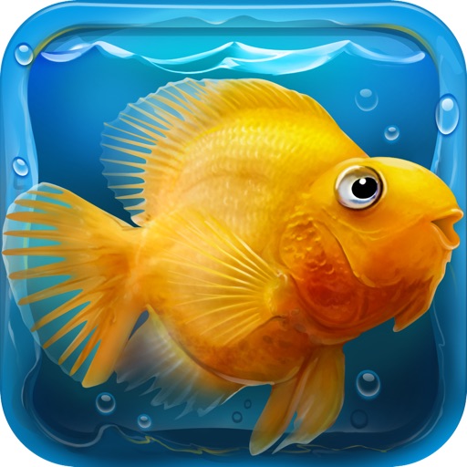 iQuarium HD