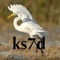 Kxx Programmer's Guide is a handy reference to the Elecraft K3, K3S, KX3 & KX2 radios programming language in an easy to use iPhone/iPad format