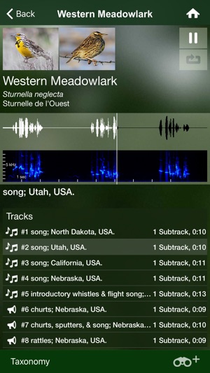 Bird Songs USA & Canada (3100)(圖4)-速報App